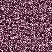 grape.jpg