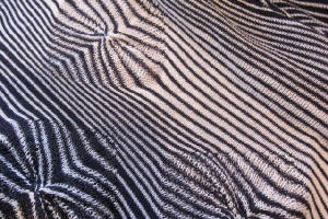 nzweave.jpg